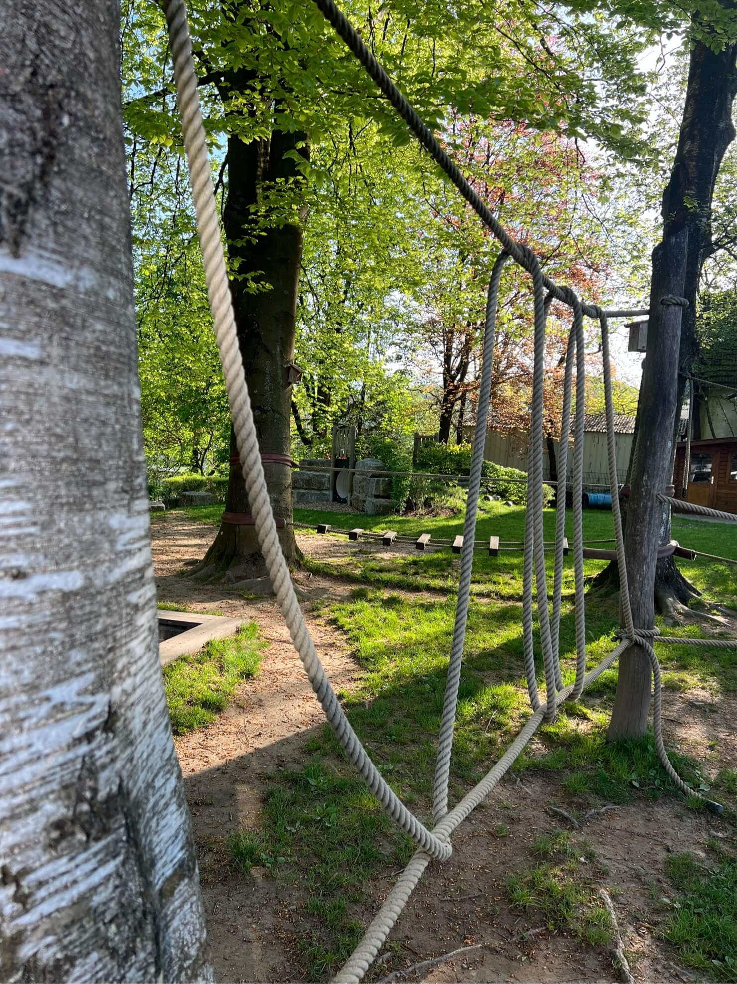 Kletterseile